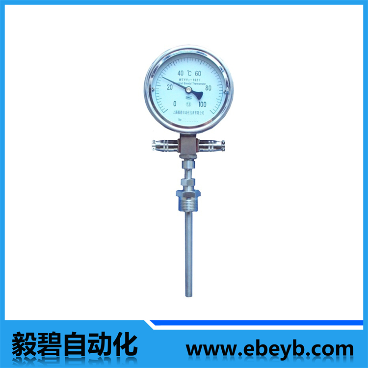 WTYY系列遠(yuǎn)傳溫度計