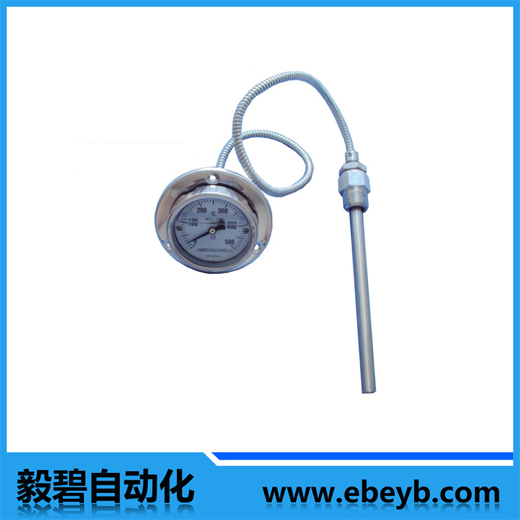 WTY系列壓力式溫度計